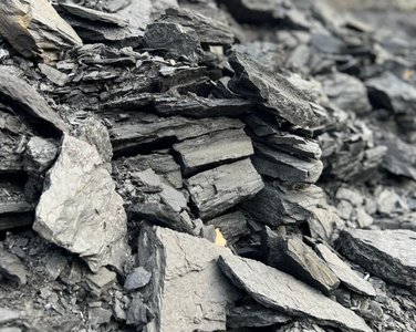 Coal